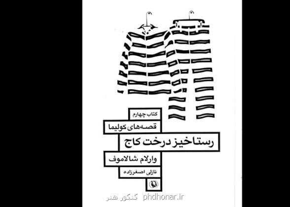 اسرار هولناک درخت کاج