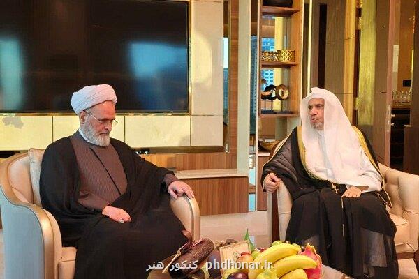 تجلیل دبیرکل رابطه العالم الاسلامی از پیشرفت حوزه های علمیه