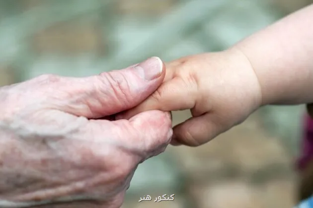 فرزندآوری یکی از عوامل پایداری خانواده است